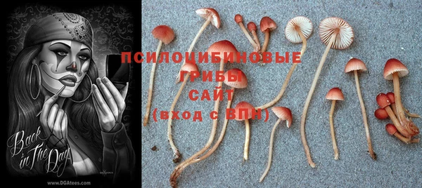 бутират Алексин