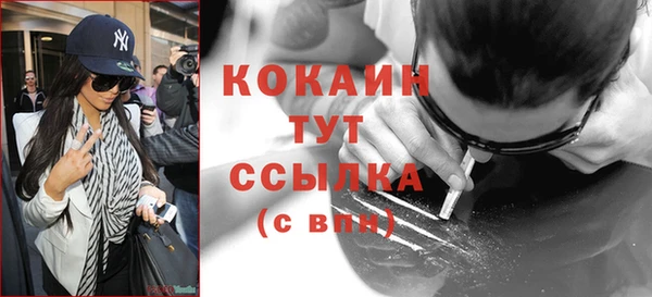 сатива Алзамай