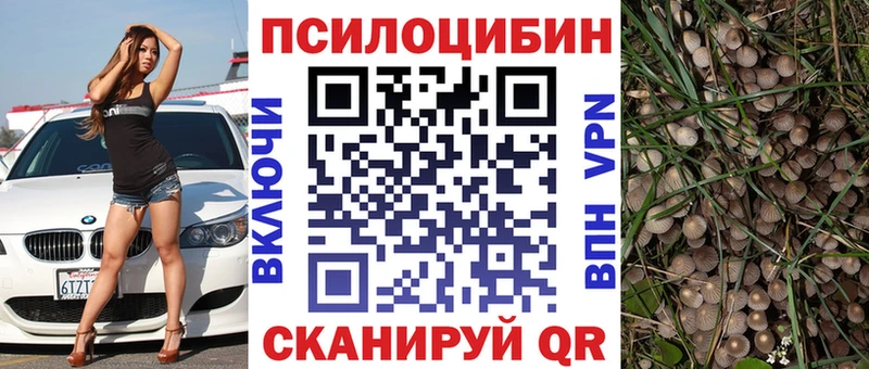 Псилоцибиновые грибы мицелий  купить   Котовск 
