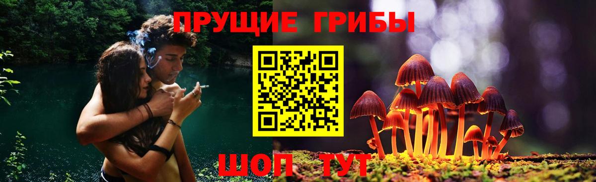 продажа наркотиков  Вход с VPN  Котовск  Псилоцибиновые грибы Psilocybine cubensis  Галлюциногенные грибы Psilocybine cubensis 